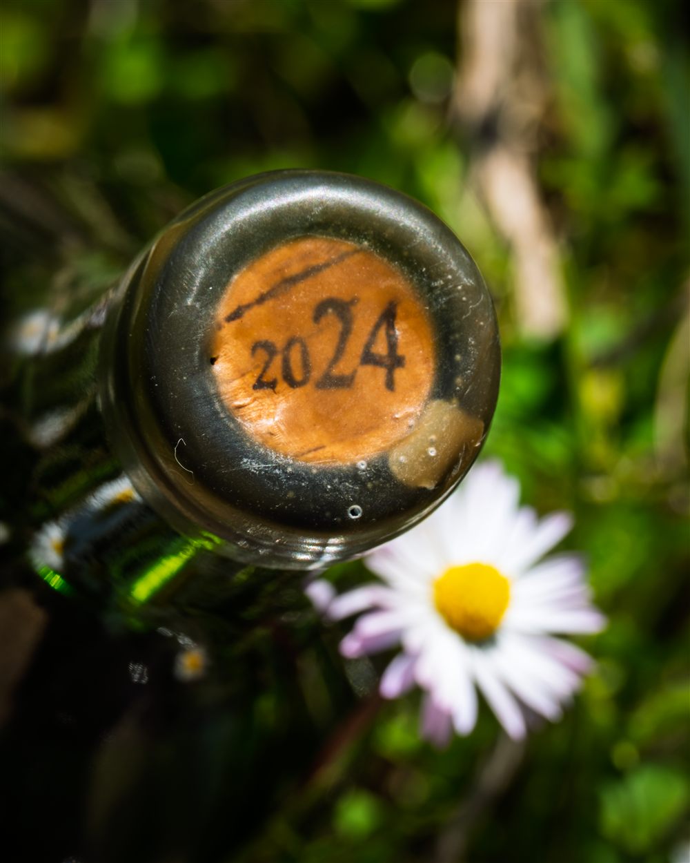 La Vinoteca, fotografia di Crescerai