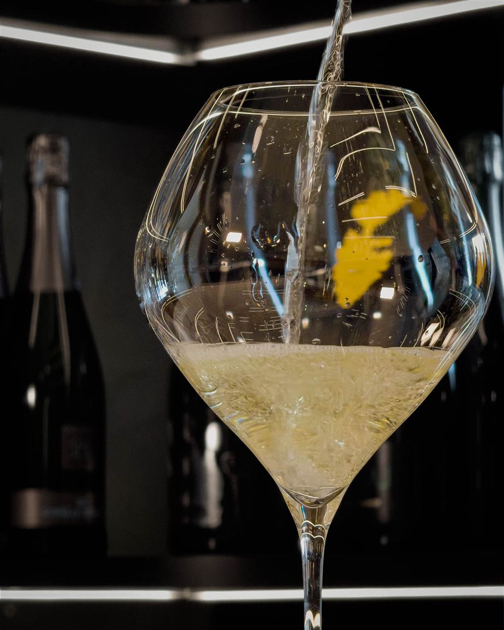 Vino & Vino, fotografia di Crescerai